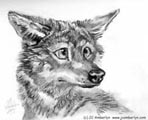 Updated illustrations page